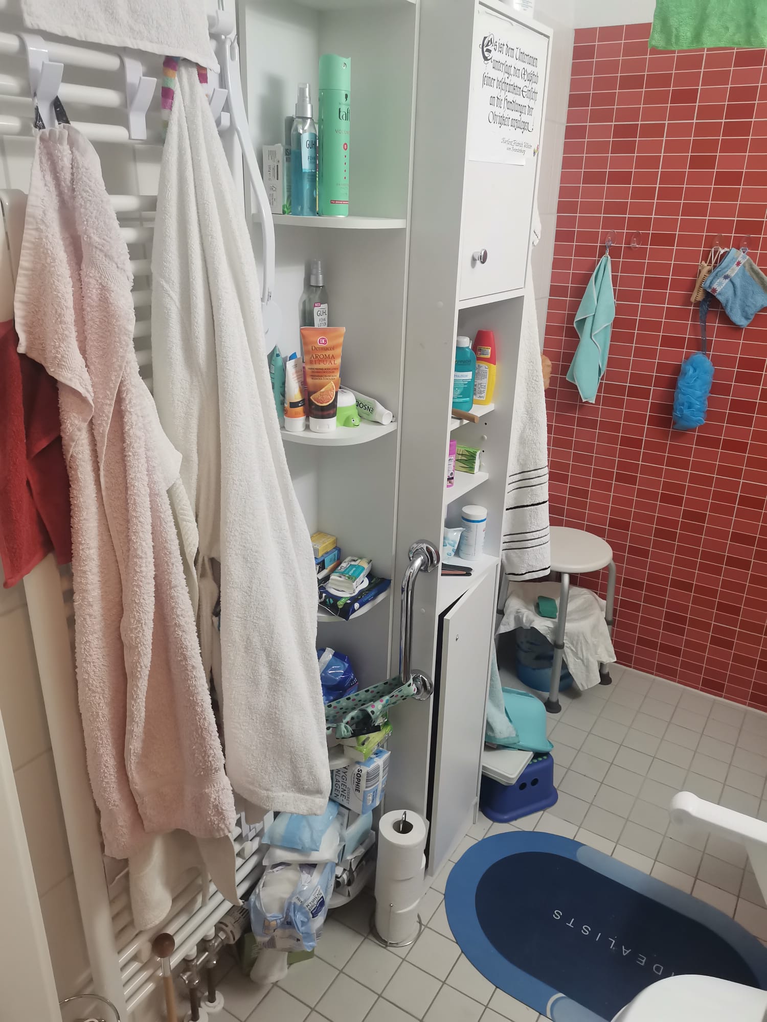 Wohnungsauflösung-Köpenick-Bad